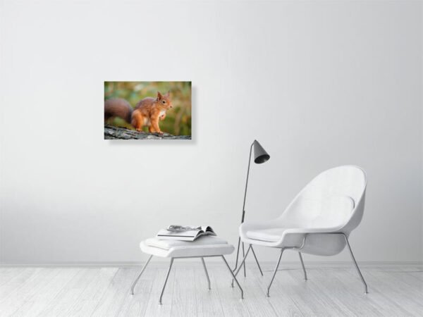 Posing Rodent