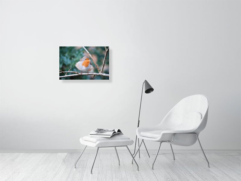 Dancer On The Bark - Image 2