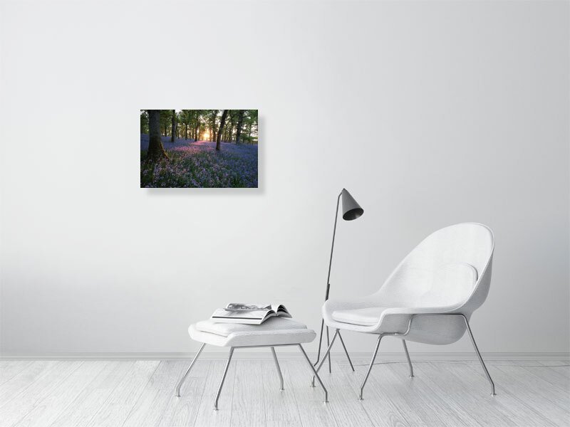 Spring Blues - Image 3