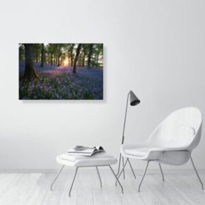 Spring Blues - Image 2