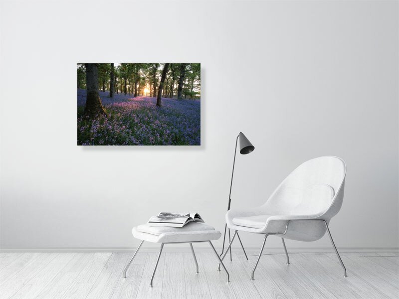 Spring Blues - Image 2